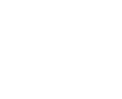 DPL Rebel Ethos